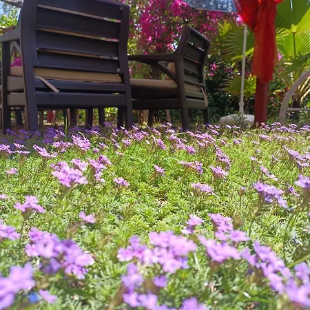 Cirali Sunny House Apartment *