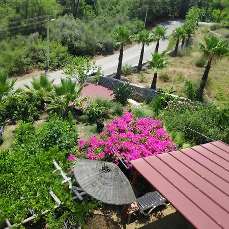 Cirali Sunny House Apartment