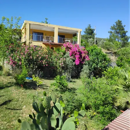 Cirali Sunny House Apartment *