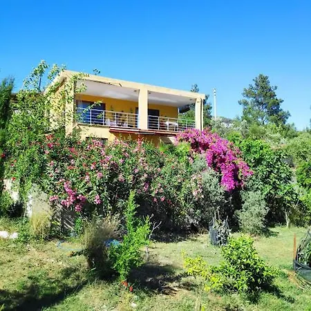 Cirali Sunny House Apartment