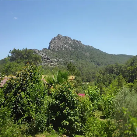 Cirali Sunny House Apartment